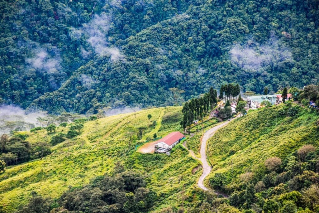 Travel Darjeeling to enjoy Natural Beauty