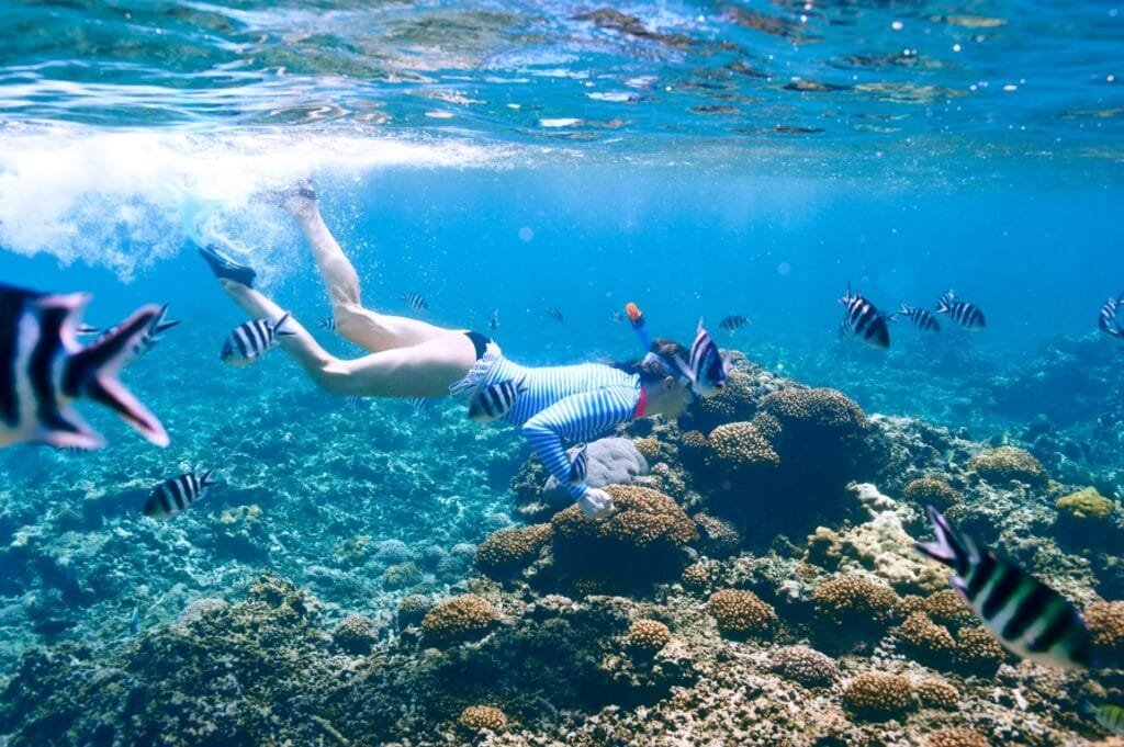 Snorkeling is one of the top things to do in Maldives