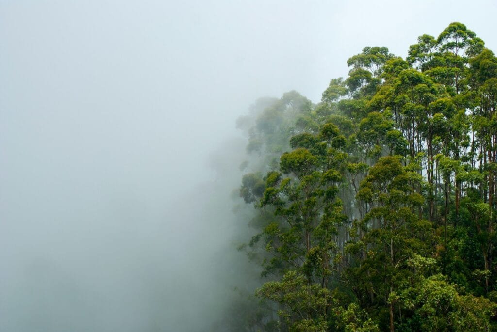 Monsoon in mountains