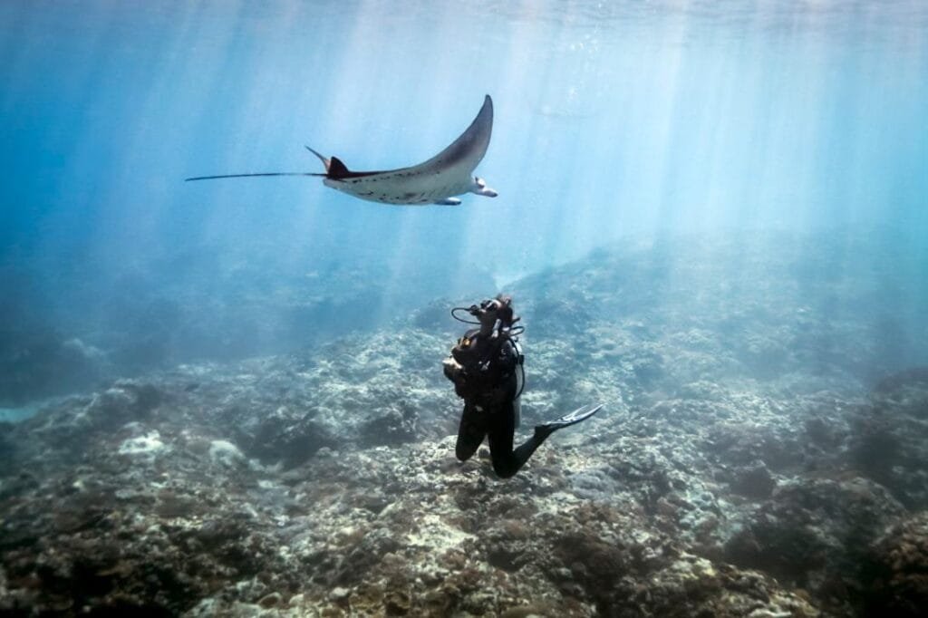 Diving in Dhigurah