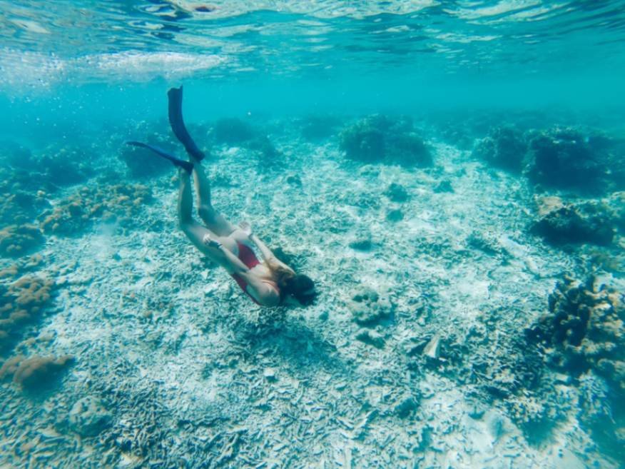 Snorkeling in Dhigurah Island